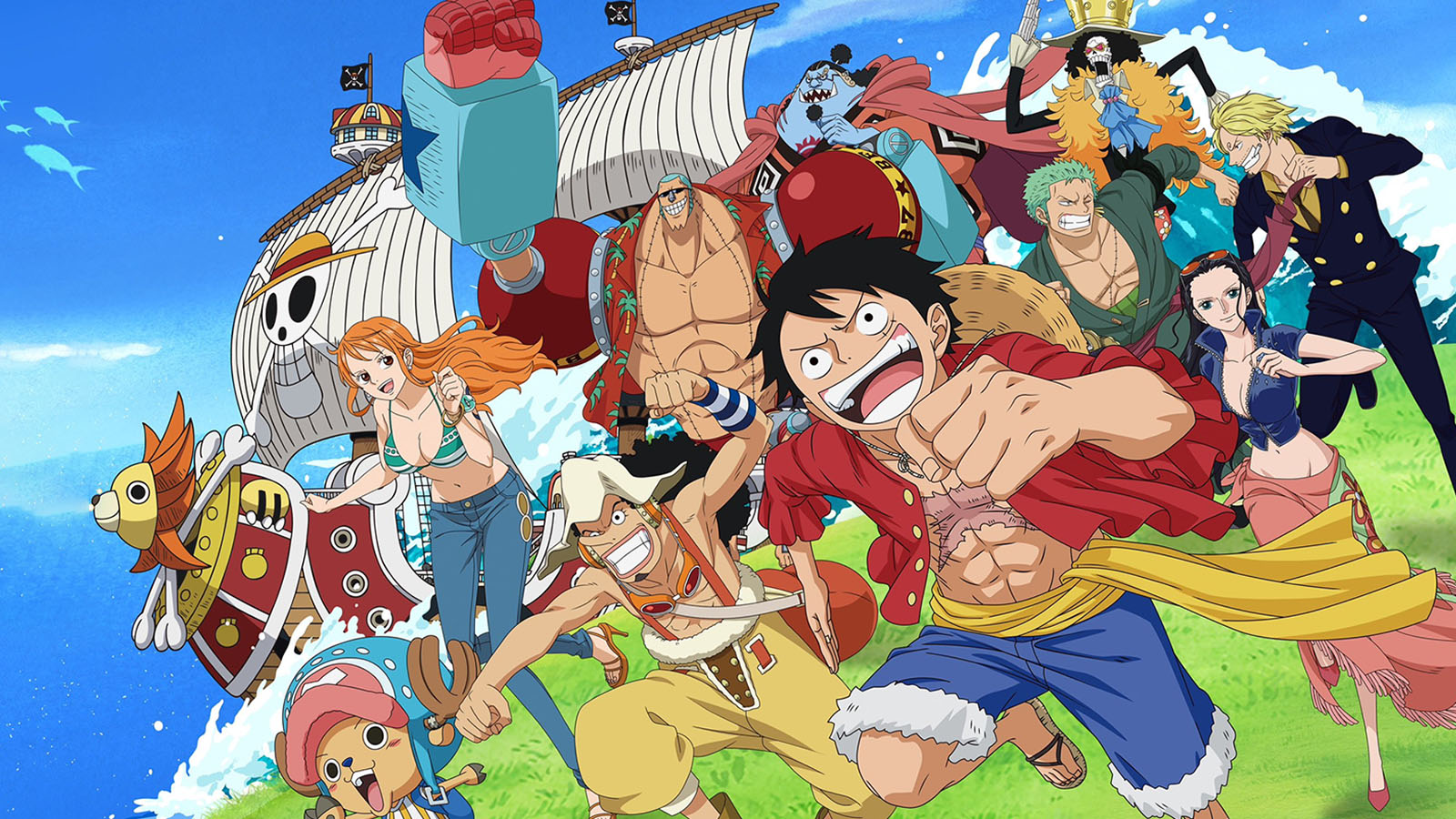 Members of Luffy's Crew